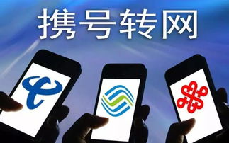 陇南电信移动联通三大运营商开启携号转网业务